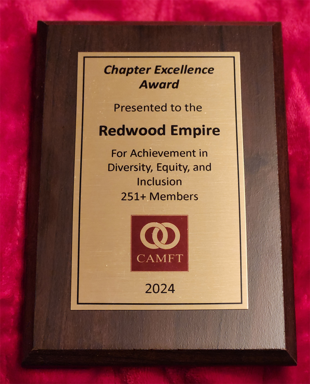 Chapter Excellence Award 2024